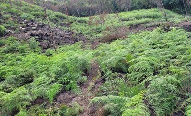 TE VENDO EXTENSA FINCA EN SANTO DOMINGO ANTIOQUIA.