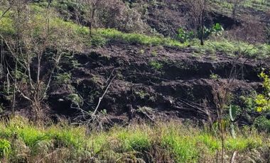 TE VENDO EXTENSA FINCA EN SANTO DOMINGO ANTIOQUIA.