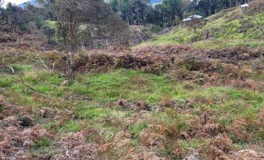 TE VENDO EXTENSA FINCA EN SANTO DOMINGO ANTIOQUIA.