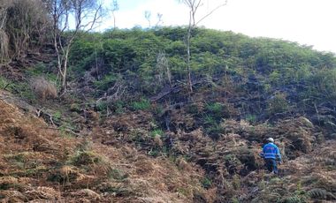 TE VENDO EXTENSA FINCA EN SANTO DOMINGO ANTIOQUIA.