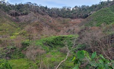 TE VENDO EXTENSA FINCA EN SANTO DOMINGO ANTIOQUIA.