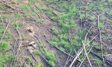 TE VENDO EXTENSA FINCA EN SANTO DOMINGO ANTIOQUIA.