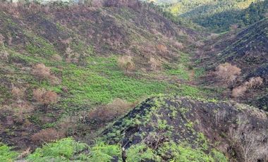 TE VENDO EXTENSA FINCA EN SANTO DOMINGO ANTIOQUIA.