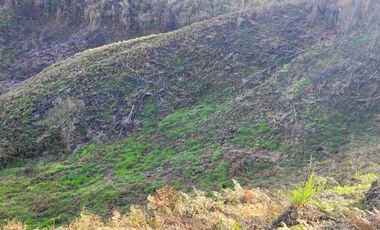 TE VENDO EXTENSA FINCA EN SANTO DOMINGO ANTIOQUIA.