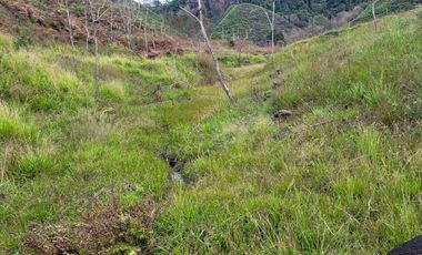 TE VENDO EXTENSA FINCA EN SANTO DOMINGO ANTIOQUIA.