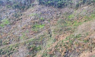 TE VENDO EXTENSA FINCA EN SANTO DOMINGO ANTIOQUIA.