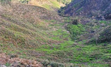TE VENDO EXTENSA FINCA EN SANTO DOMINGO ANTIOQUIA.