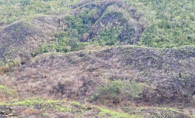 TE VENDO EXTENSA FINCA EN SANTO DOMINGO ANTIOQUIA.