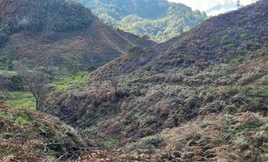 TE VENDO EXTENSA FINCA EN SANTO DOMINGO ANTIOQUIA.