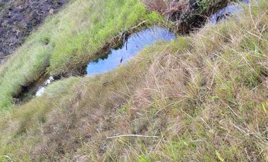 TE VENDO EXTENSA FINCA EN SANTO DOMINGO ANTIOQUIA.