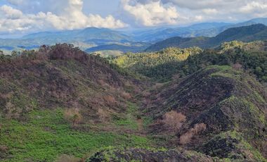 TE VENDO EXTENSA FINCA EN SANTO DOMINGO ANTIOQUIA.