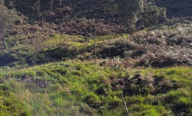 TE VENDO EXTENSA FINCA EN SANTO DOMINGO ANTIOQUIA.