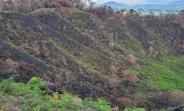 TE VENDO EXTENSA FINCA EN SANTO DOMINGO ANTIOQUIA.