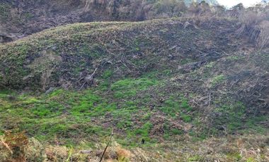 TE VENDO EXTENSA FINCA EN SANTO DOMINGO ANTIOQUIA.