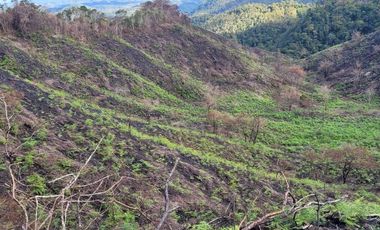TE VENDO EXTENSA FINCA EN SANTO DOMINGO ANTIOQUIA.