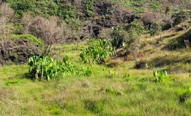 TE VENDO EXTENSA FINCA EN SANTO DOMINGO ANTIOQUIA.