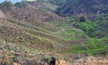 TE VENDO EXTENSA FINCA EN SANTO DOMINGO ANTIOQUIA.