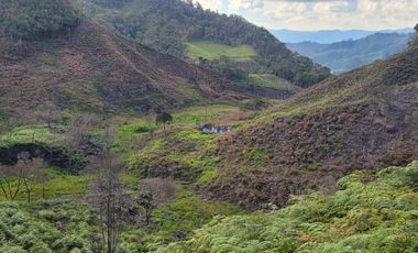 TE VENDO EXTENSA FINCA EN SANTO DOMINGO ANTIOQUIA.