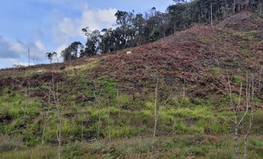 TE VENDO EXTENSA FINCA EN SANTO DOMINGO ANTIOQUIA.