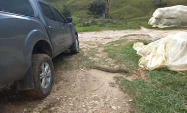 TE VENDO EXTENSA FINCA EN SANTO DOMINGO ANTIOQUIA.