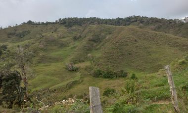 TE VENDO EXTENSA FINCA EN SANTO DOMINGO ANTIOQUIA.