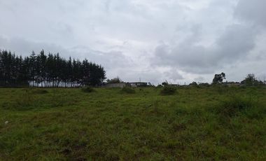 VENTA DOS TERRENOS PIFO, ITULCACHI, ESQUINEROS,  Y PLANOS, 3410M2 Y 2150M2