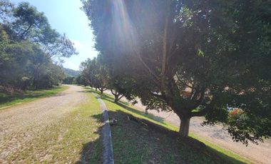 Lote San Diego 8 Sobre Boulevard Cerca Acceso Amenidades y Frente Hotel