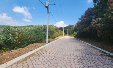 Lote Violeta 27 Mz Xviii Fracc Rancho San Diego Ixtapan Sal Edomex Zona Vip