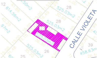 Lote Violeta 27 Mz Xviii Fracc Rancho San Diego Ixtapan Sal Edomex Zona Vip