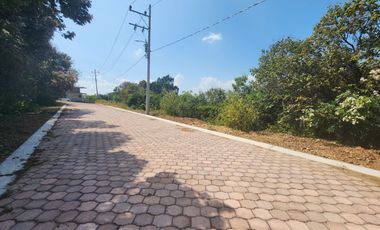 Lote Violeta 28 Xviii Fracc Rancho San Diego Ixtapan Sal Edomex Zona Vip