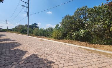 Lote Violeta 28 Xviii Fracc Rancho San Diego Ixtapan Sal Edomex Zona Vip