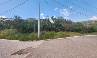 Lote Violeta 28 Xviii Fracc Rancho San Diego Ixtapan Sal Edomex Zona Vip