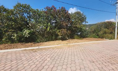 Lote Violeta 28 Xviii Fracc Rancho San Diego Ixtapan Sal Edomex Zona Vip