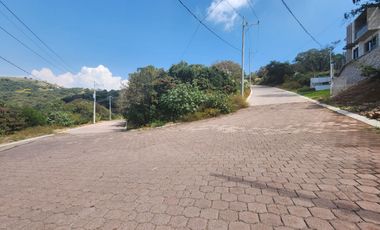 Lote Violeta 28 Xviii Fracc Rancho San Diego Ixtapan Sal Edomex Zona Vip