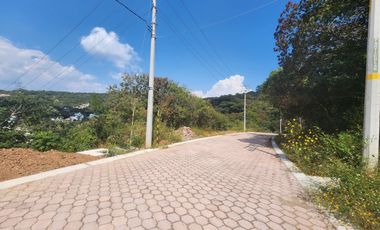 Lote Violeta 28 Xviii Fracc Rancho San Diego Ixtapan Sal Edomex Zona Vip