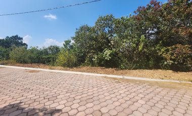 Lote Violeta 28 Xviii Fracc Rancho San Diego Ixtapan Sal Edomex Zona Vip
