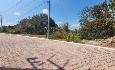 Lote Violeta 29 Xviii Rancho San Diego Ixtapan de La Sal Edomex con Vista Vip