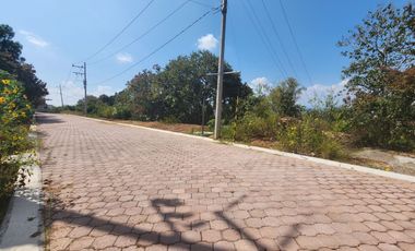 Lote Violeta 29 Xviii Rancho San Diego Ixtapan de La Sal Edomex con Vista Vip