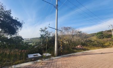 Lote Violeta 31 Mz Xviii Fracc Rancho San Diego Ixtapan Sal Edomex Zona Vip