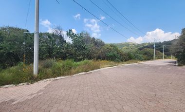 Lote Violeta 31 Mz Xviii Fracc Rancho San Diego Ixtapan Sal Edomex Zona Vip