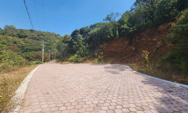 Lote Violeta 31 Mz Xviii Fracc Rancho San Diego Ixtapan Sal Edomex Zona Vip