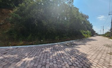 Lote Violeta 31 Mz Xviii Fracc Rancho San Diego Ixtapan Sal Edomex Zona Vip