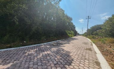 Lote Violeta 31 Mz Xviii Fracc Rancho San Diego Ixtapan Sal Edomex Zona Vip