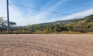 Lote Violeta 33 Xviii Nueva Zona Vip Fracc Rancho San Diego Ixtapan Sal Edomex