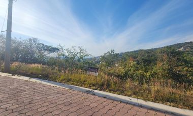 Lote Violeta 33 Xviii Nueva Zona Vip Fracc Rancho San Diego Ixtapan Sal Edomex