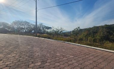 Lote Violeta 33 Xviii Nueva Zona Vip Fracc Rancho San Diego Ixtapan Sal Edomex