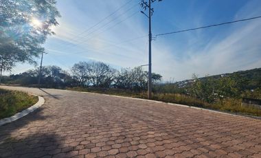 Lote Violeta 33 Xviii Nueva Zona Vip Fracc Rancho San Diego Ixtapan Sal Edomex