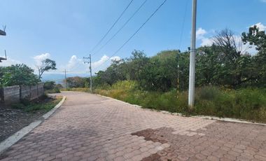 Lote Violeta 33 Xviii Nueva Zona Vip Fracc Rancho San Diego Ixtapan Sal Edomex