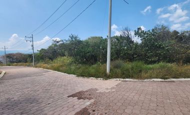 Lote Violeta 33 Xviii Nueva Zona Vip Fracc Rancho San Diego Ixtapan Sal Edomex