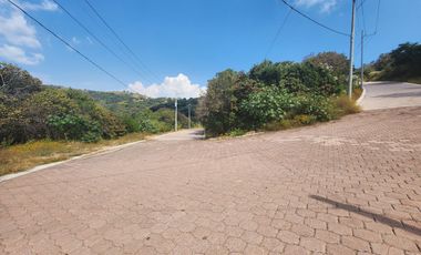 Lote Violeta 33 Xviii Nueva Zona Vip Fracc Rancho San Diego Ixtapan Sal Edomex